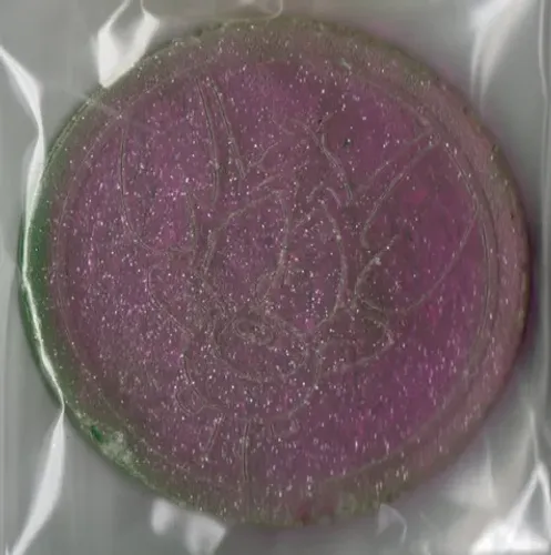 MASTER TAZO ELMA CHIPS - ROXO
