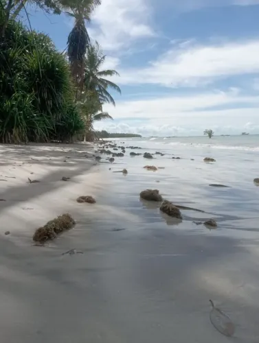 Terreno em Morro de São Paulo Cairu Bahia.