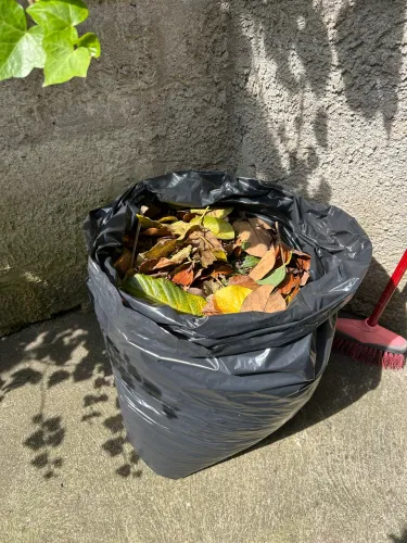 Folhas secas orgânicas - saco de 100 L R$ 25,00