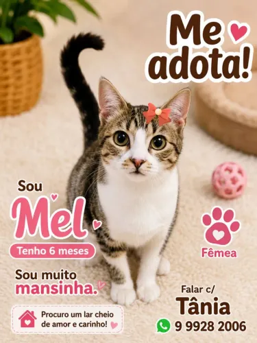 PRINCESA LINDA