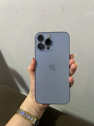 iPhone 13 Pro Max
