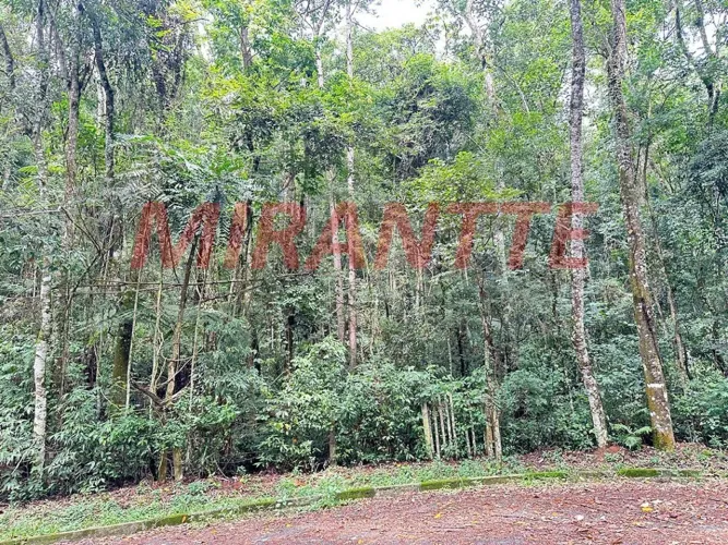 Outros em Caraguata
