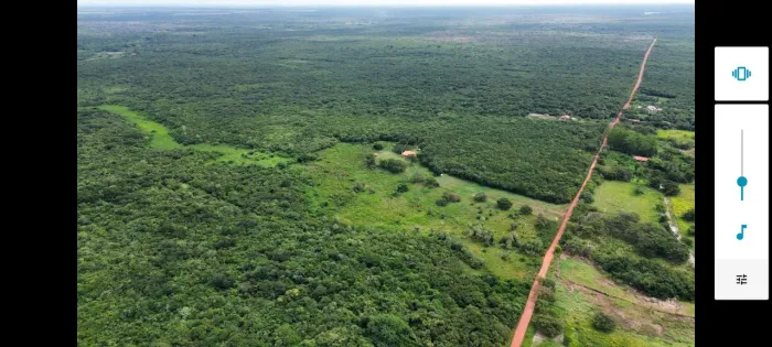Fazenda em Bom Princípio 