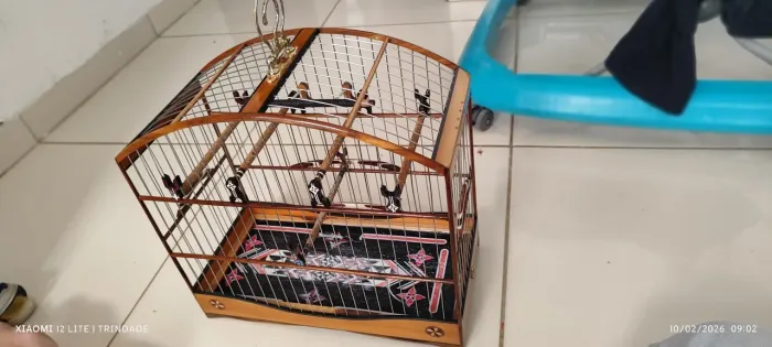 Gaiola de inox reduzida zera fundo removível