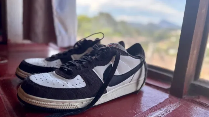 Dunk Terminator Low Velvet Brown