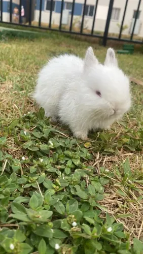 2 MESES, 4 BEBES