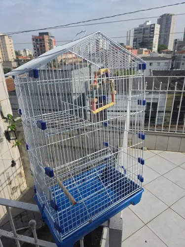 Gaiola Pássaro ou Animal Pequeno