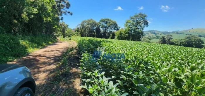 Sítio a venda Campo Magro com 451.736 m², por R$ 1.700.000 - ou seja 18,6 alqueires ideal 