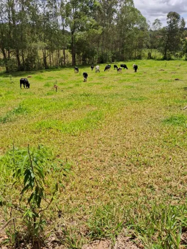OPORTUNIDADE ÚNICA! SITIO EM ITAGUARA - MG