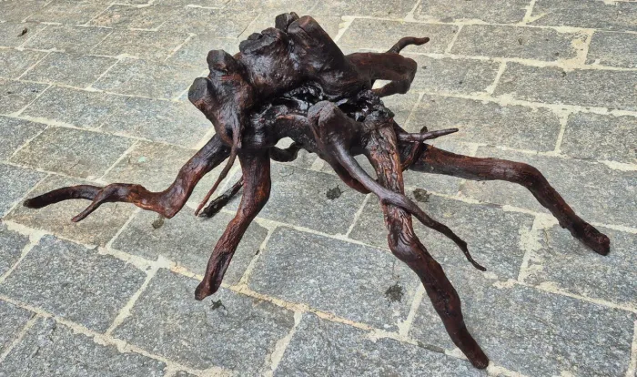 Tronco Decorarivo Aquário 