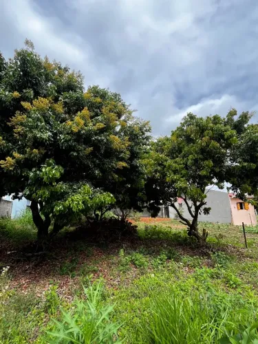 Terreno com 336m2 no Vale Sossai em Venda Nova do Imigrante