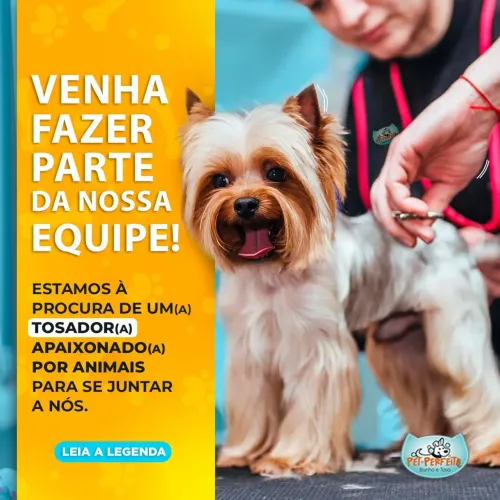 Vaga para Banhista Pet Shop Pet Perfeito