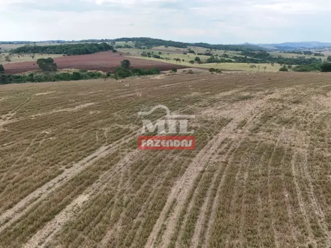 Fazenda 20 alqueires (96,8 hectares) Itauçu - Go