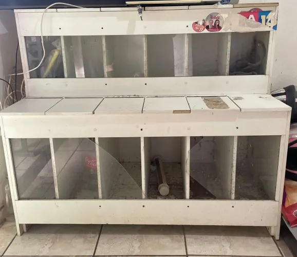 Expositor de ração/ Balcão graneleiro - Ótimo para Casa de Ração, Pet Shop ou Agropecúaria
