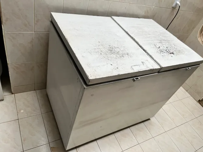 Freezer horizontal