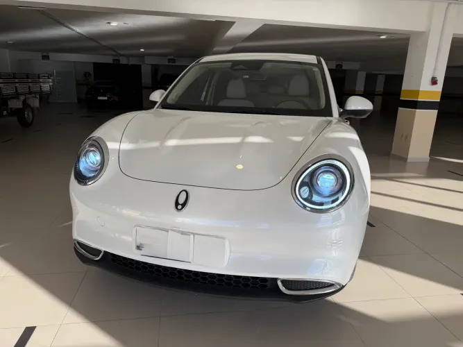 GWM Ora 03 Skin (elétrico) 2024