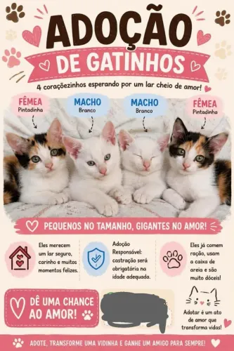 Doação de gatinhos de 3 meses