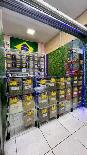Estante e balcão expositor de vidro