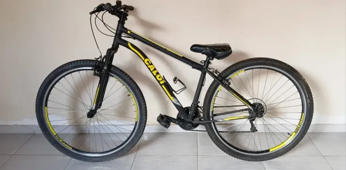 Bicleta