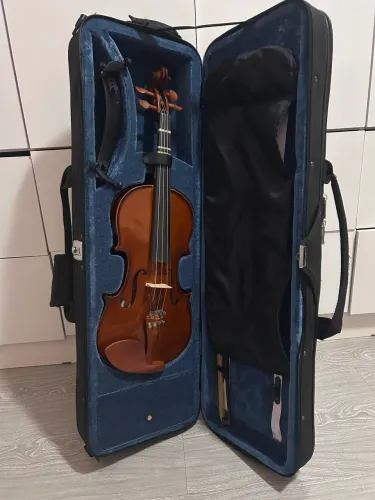 Violino