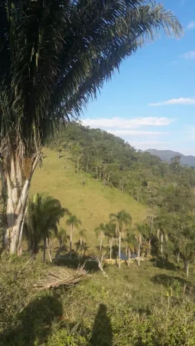 Chácara 8.000 m² em Campina Grande do Sul - Atrás do Posto Juninho (BR-116)