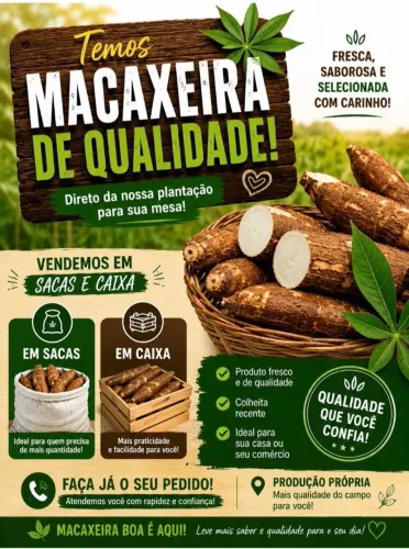 Vendo macaxeira 
