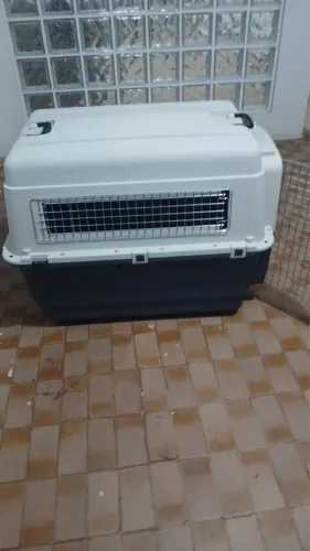 Caixa transporte cachorro n6 cobasi