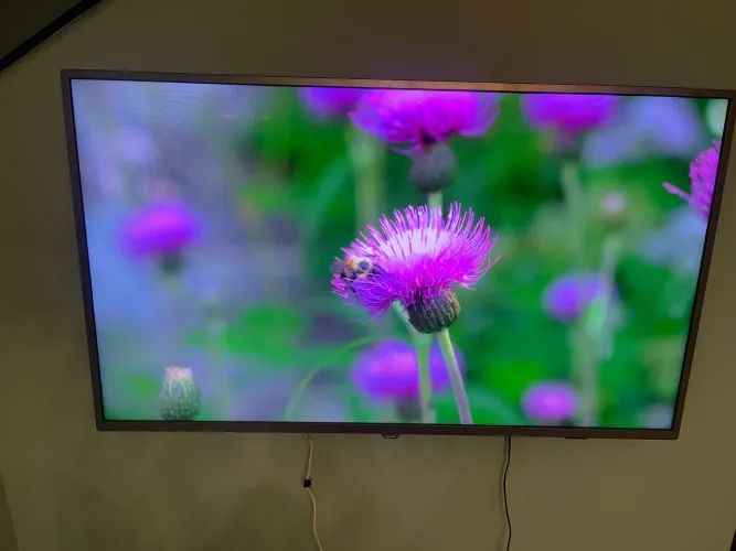 Tv Philips