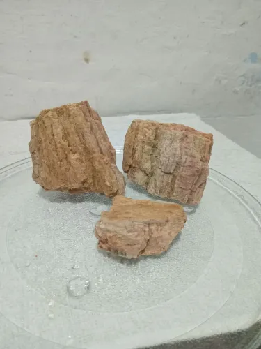 Madeira petrificada 