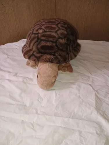 Tartaruga De Pelúcia