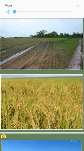 Fazenda 8.297 hec em Rio do Sono TO. 130 milhões.