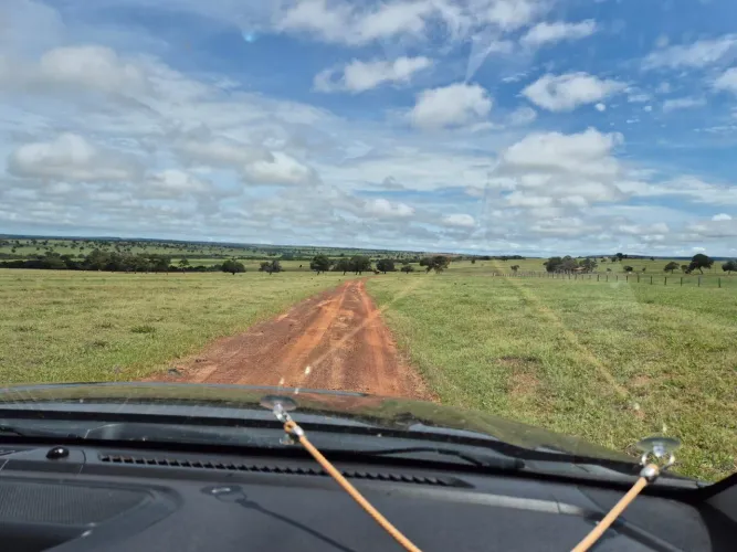 Fazenda de arrendamento 6 mil hec em novo são Joaquim MT.