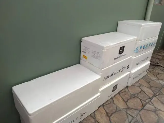 Caixas Térmicas de Isopor