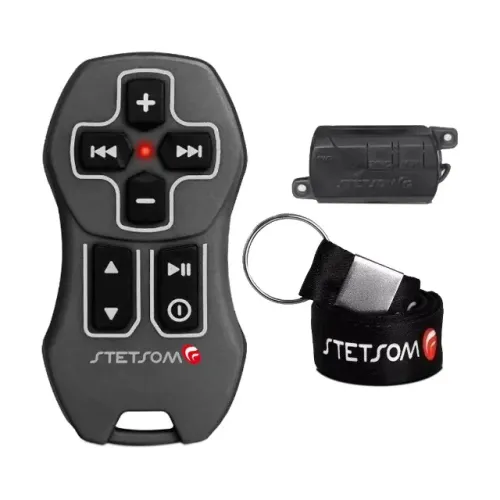 CONTROLE REMOTO AUTOMOTIVO SX UNIVERSAL GRAFITE