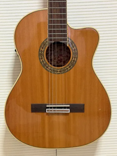 Violão Tagima Ottawa