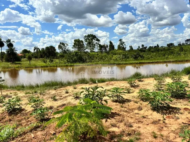 Sítio Maravilhoso em Cosmorama | 6 Alqueires, Tanques, Frutíferas e Ótima Localização!