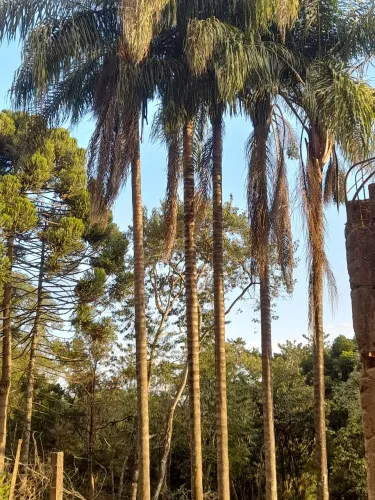 Excelente chácara 2.300mts escriturada poços de caldas