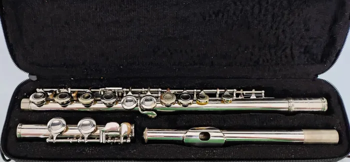 Flauta transversal Conductor