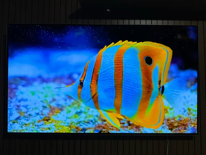 Smart tv OLED LG 55 polegadas