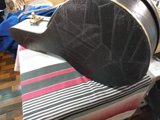 Case Banjo 