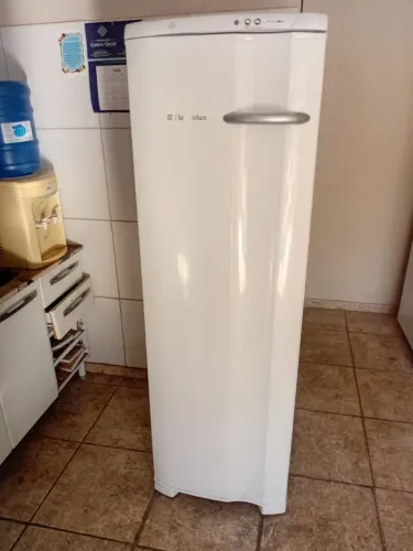 Freezer, vertical, FE26, Electrolux, 203L