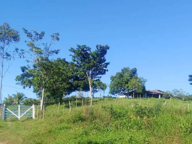 Vende-se sítio no Santa Maria povoado Riachuelo