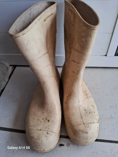 Bota de borracha