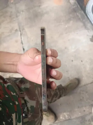 iPhone 13 Pro max
