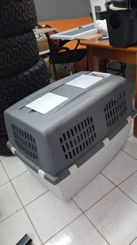 Caixa de transporte pet semi nova 