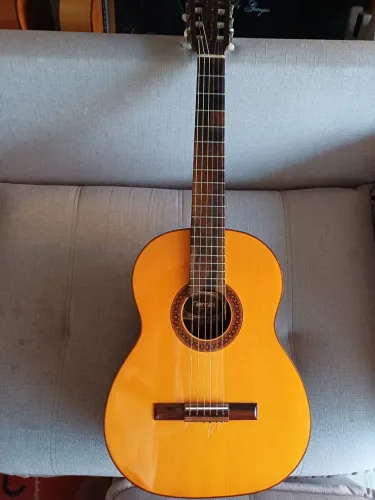 Violao giannini classico awnm4
