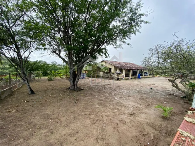 Fazenda para Venda em Bezerros, ZONA RURAL BEZERROS/PE, 3 dormitórios, 1 suíte, 1 banheiro
