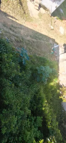 Terreno no precinho