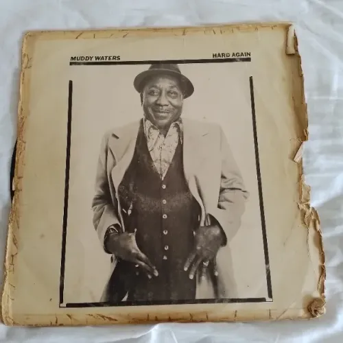 Vinil Muddy Waters, Paul Simon, Rick Wakeman, Wayne Shorter