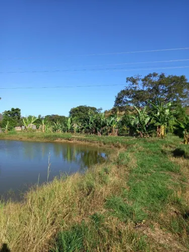 Fazenda Taguatinga Tocantins Beira Do Asfalto 85 alqueire